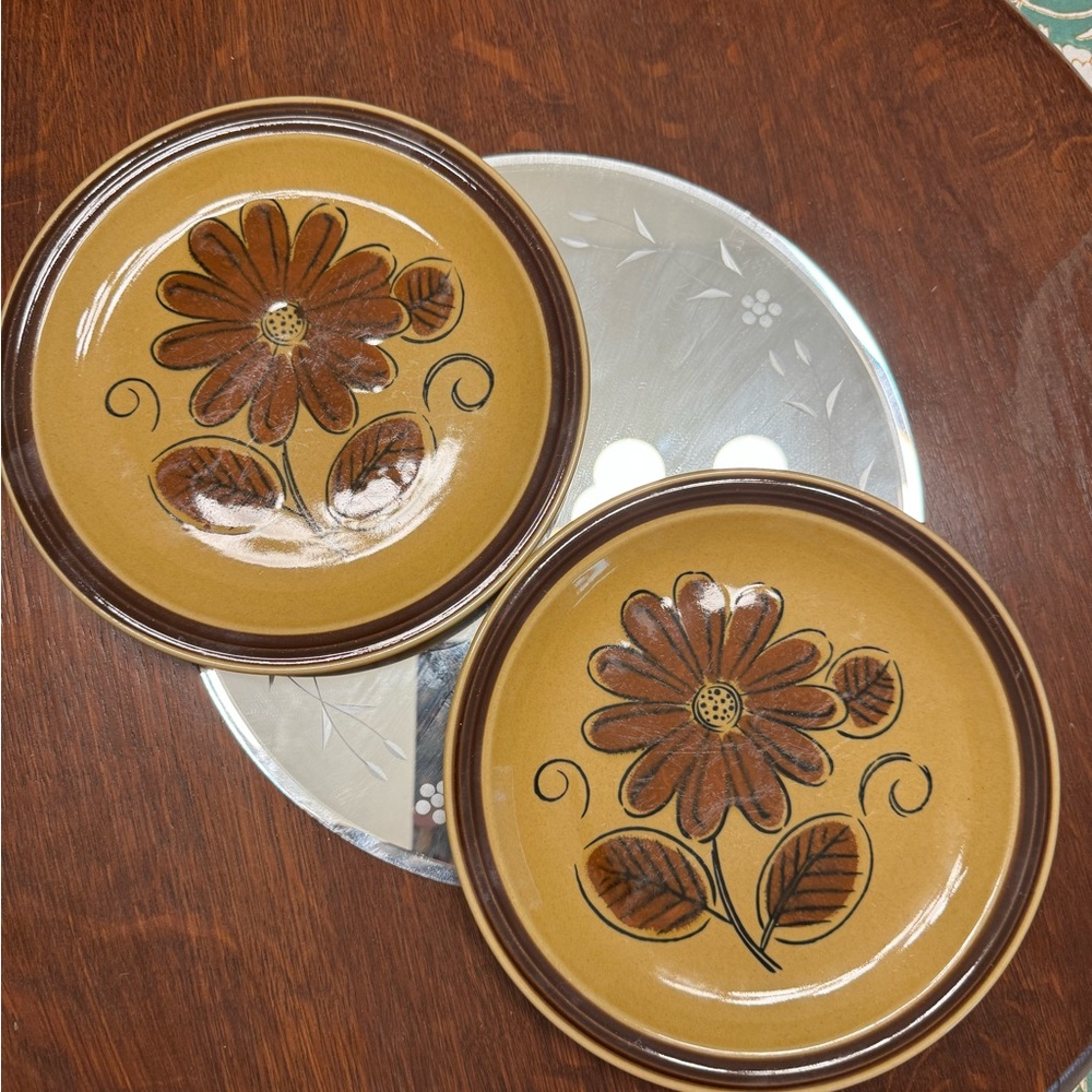 Floral Brown Ceramic Dinner Plates